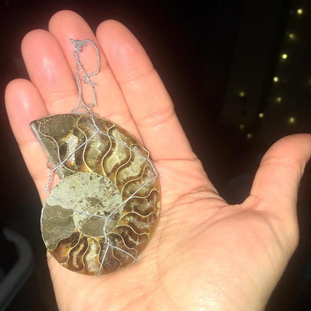 Ammonite pendant with fixture